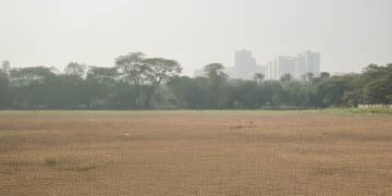 Geofencing & Real-time monitoring